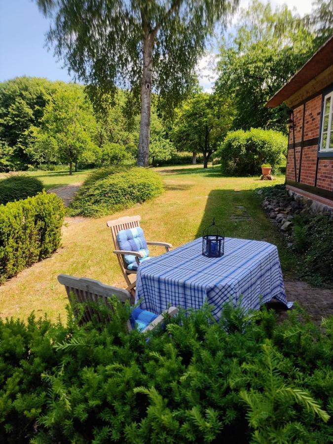 Chalet Forsthof Everstorf - Kleine Wohnung Гревесмюлен Экстерьер фото